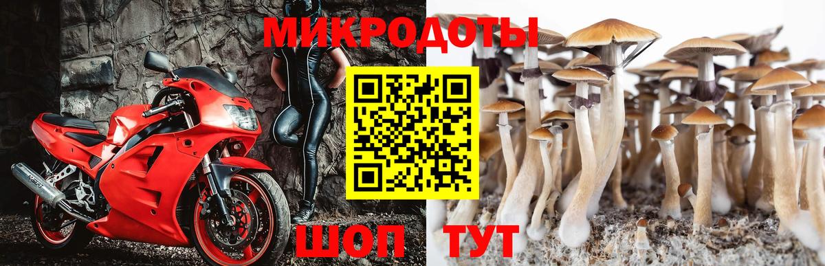 Псилоцибиновые грибы Magic Shrooms Орёл